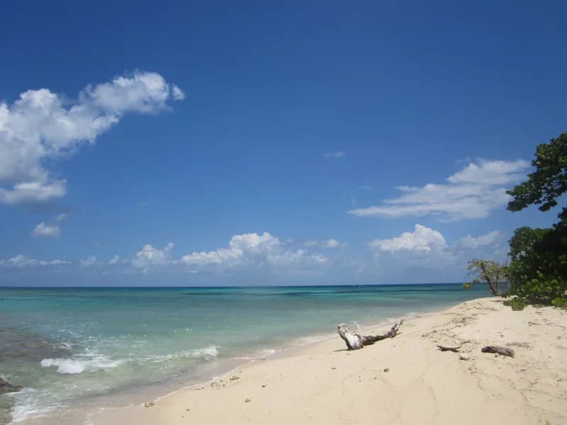 Representative imagery for Tan Tan Tours: Turtle Beach on Buck Island off St. Croix. Not a photograph of this listing.