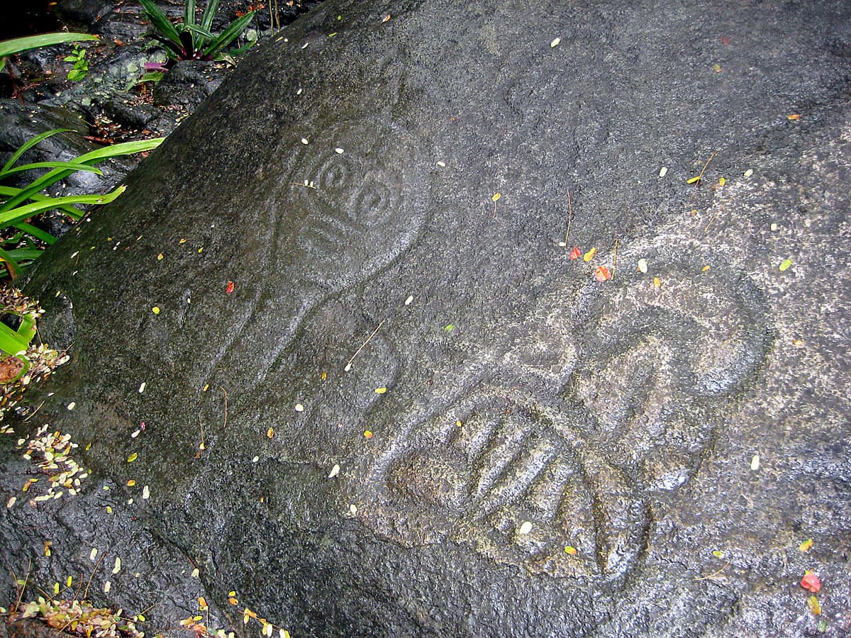 Pre-Columbian Taino petroglyphs carved into the rock face at Reef Bay, St. John.