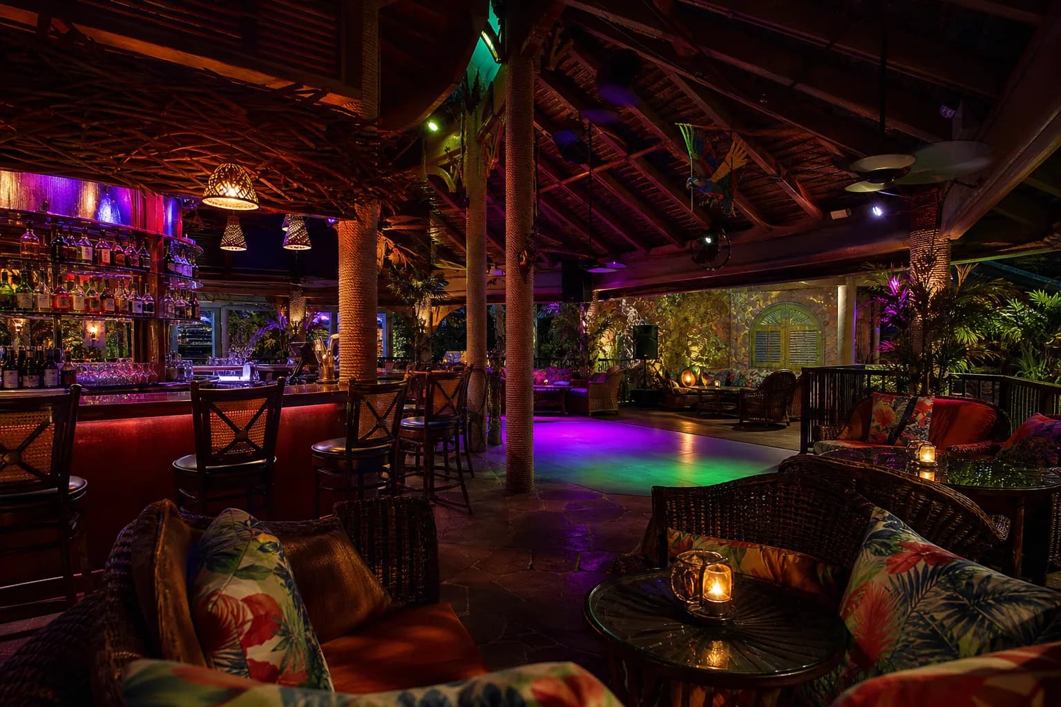 Representative artwork for The Parrot Club, depicting a nightlife rhythm experience in STJ.