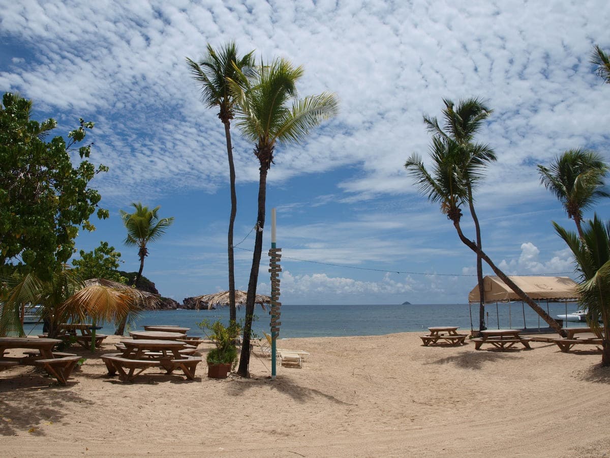 The palm-shaded sand terrace at Bolongo Bay on St. Thomas, with picnic tables and a beach-bar canopy above the shoreline, photographed in 2010.