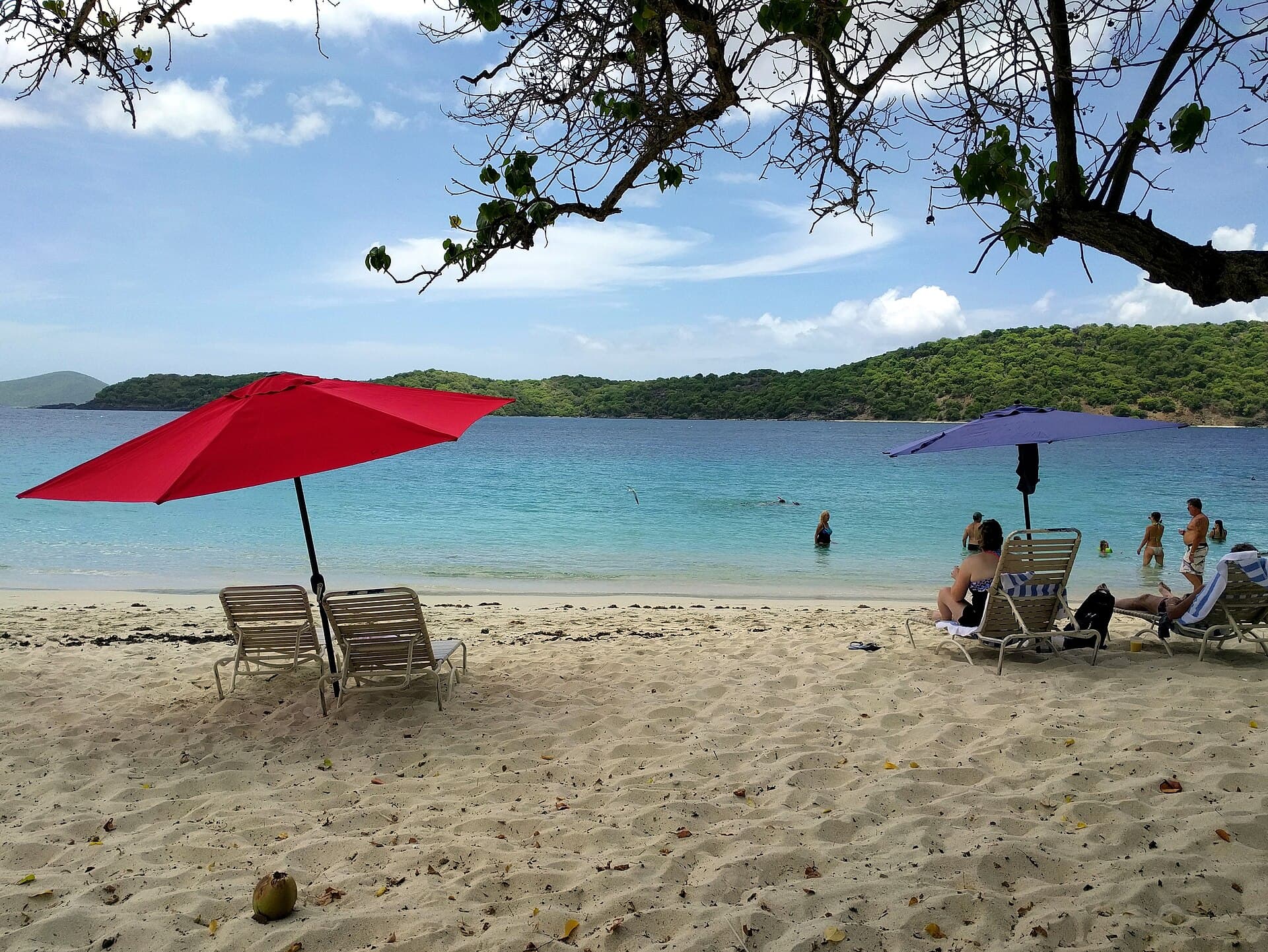 Beach umbrellas and calm turquoise water at Coki Point Beach on St. Thomas.