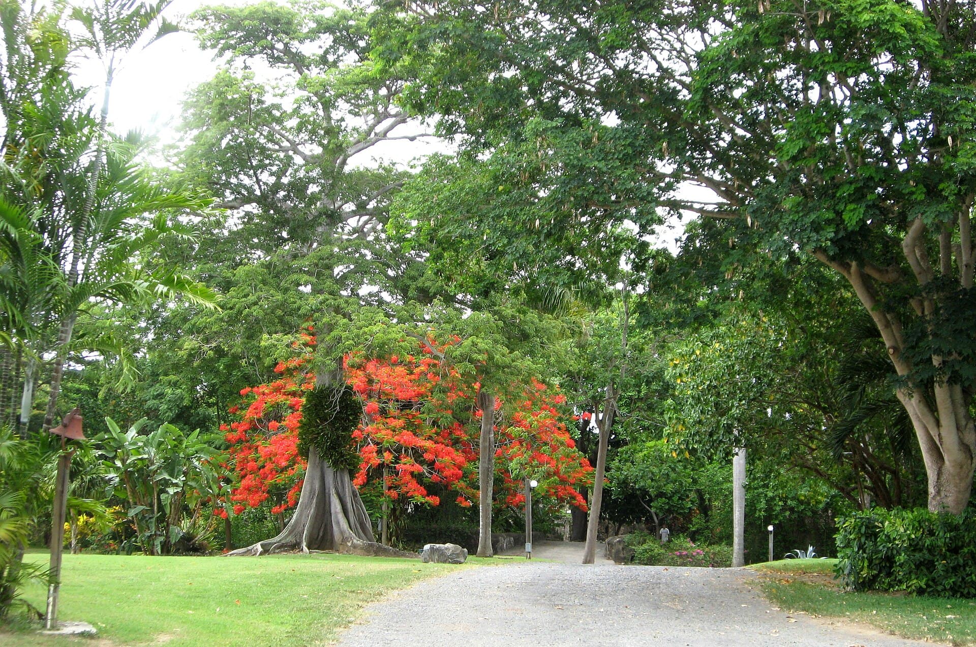 Flowering trees and a green tropical garden. Representative USVI photograph for Phantasea Tropical Botanical Garden; not a photograph of this listing and may depict another island.