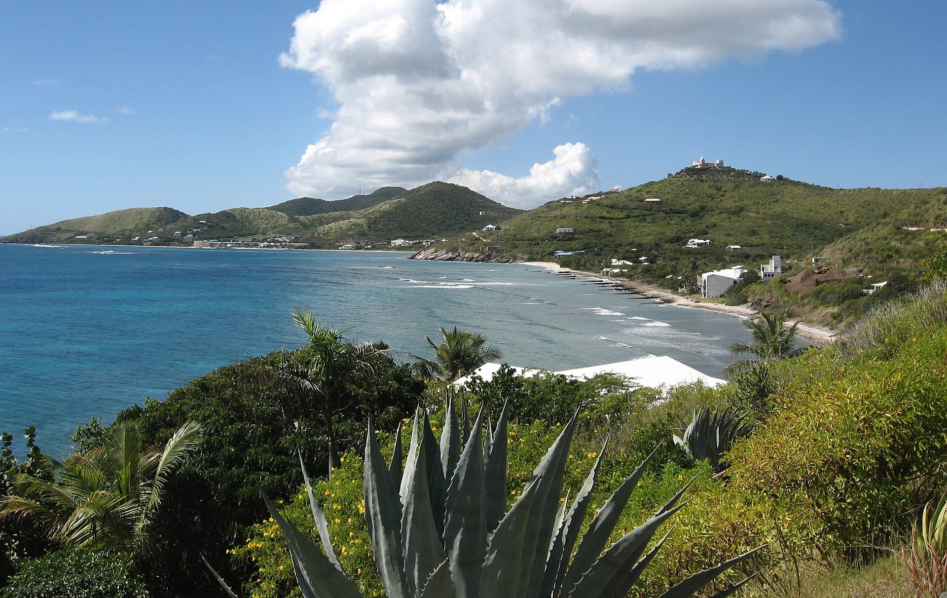 Grapetree Bay's crescent of surf and sand on the south shore of St. Croix.