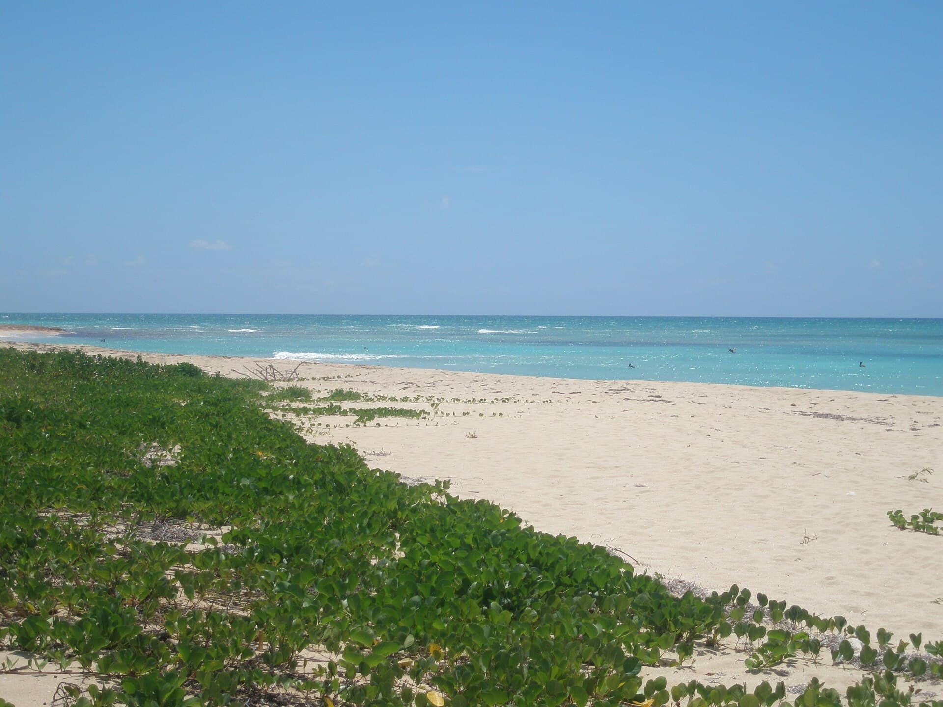The undeveloped white-sand shore of Sandy Point National Wildlife Refuge on St. Croix.
