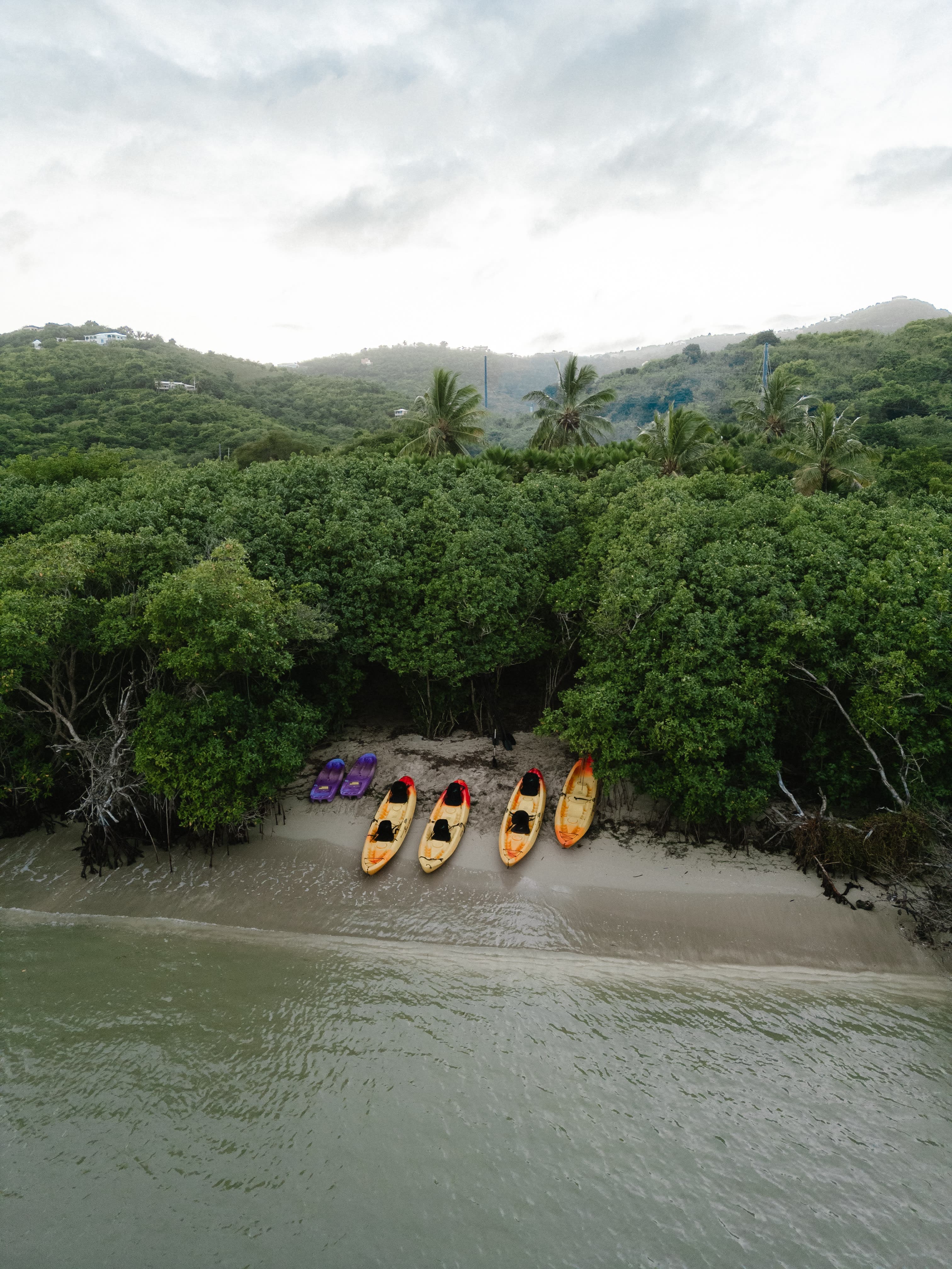 BushTribe Eco Adventures official media