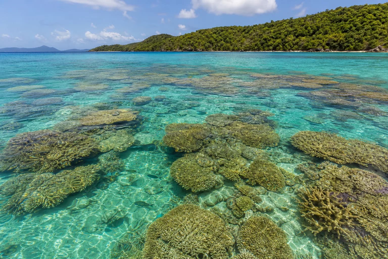 Representative USVI beaches image for Supermarket Reef; not a photograph of this listing and may depict another island.
