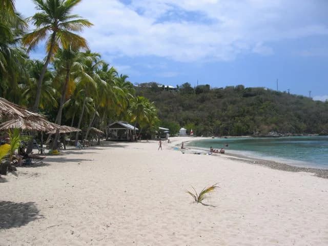 Palm-lined Honeymoon Beach on Water Island with pale sand and calm Caribbean water