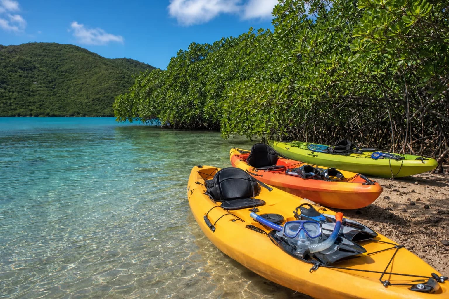 Representative USVI tours activities image for Virgin Islands Ecotours - St. John; not a photograph of this listing and may depict another island.