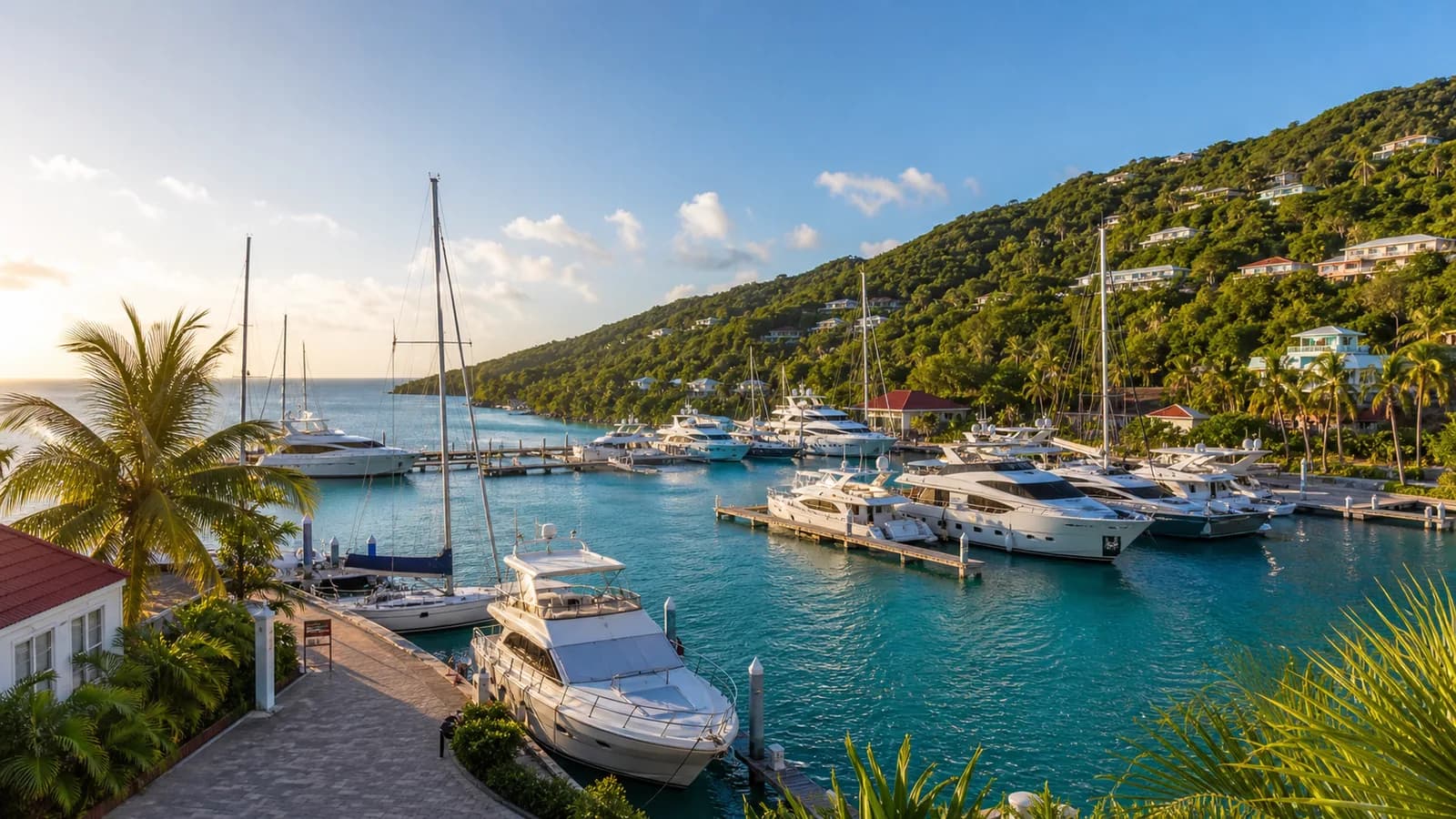 Representative USVI local provisions image for American Yacht Harbor; not a photograph of this listing and may depict another island.