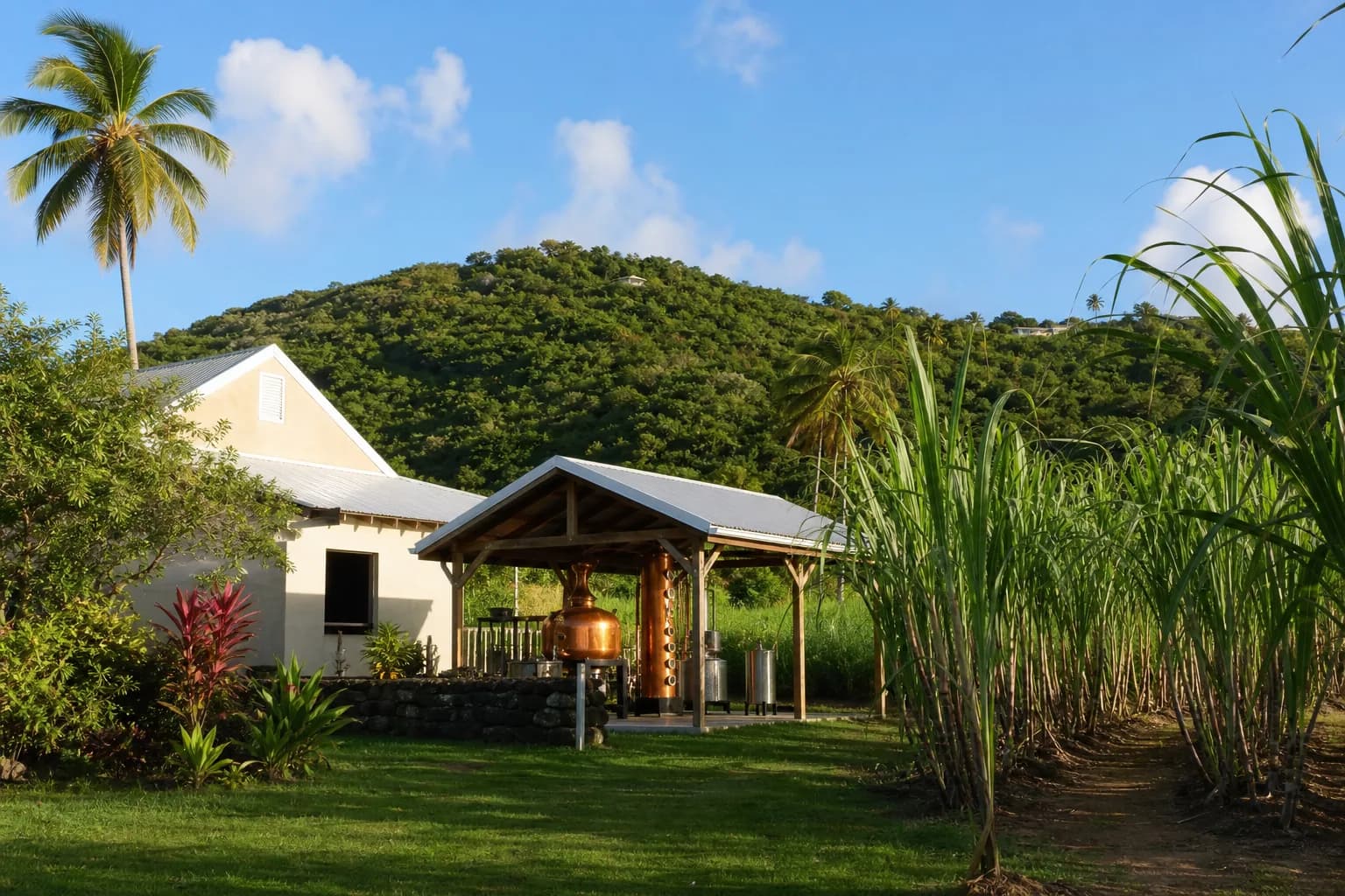 Representative USVI attractions image for Prosperity Farm Distillery; not a photograph of this listing and may depict another island.