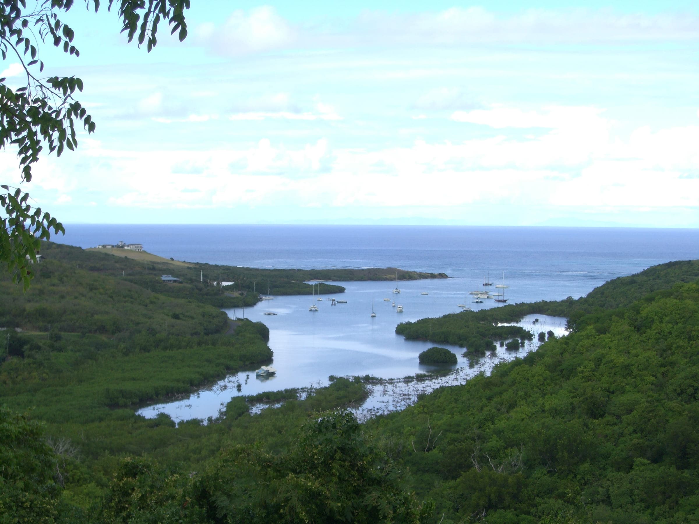 The mangrove-lined Salt River estuary on St. Croix with vessels moored in its sheltered anchorage and the bay opening to the Caribbean, photographed in 2008.